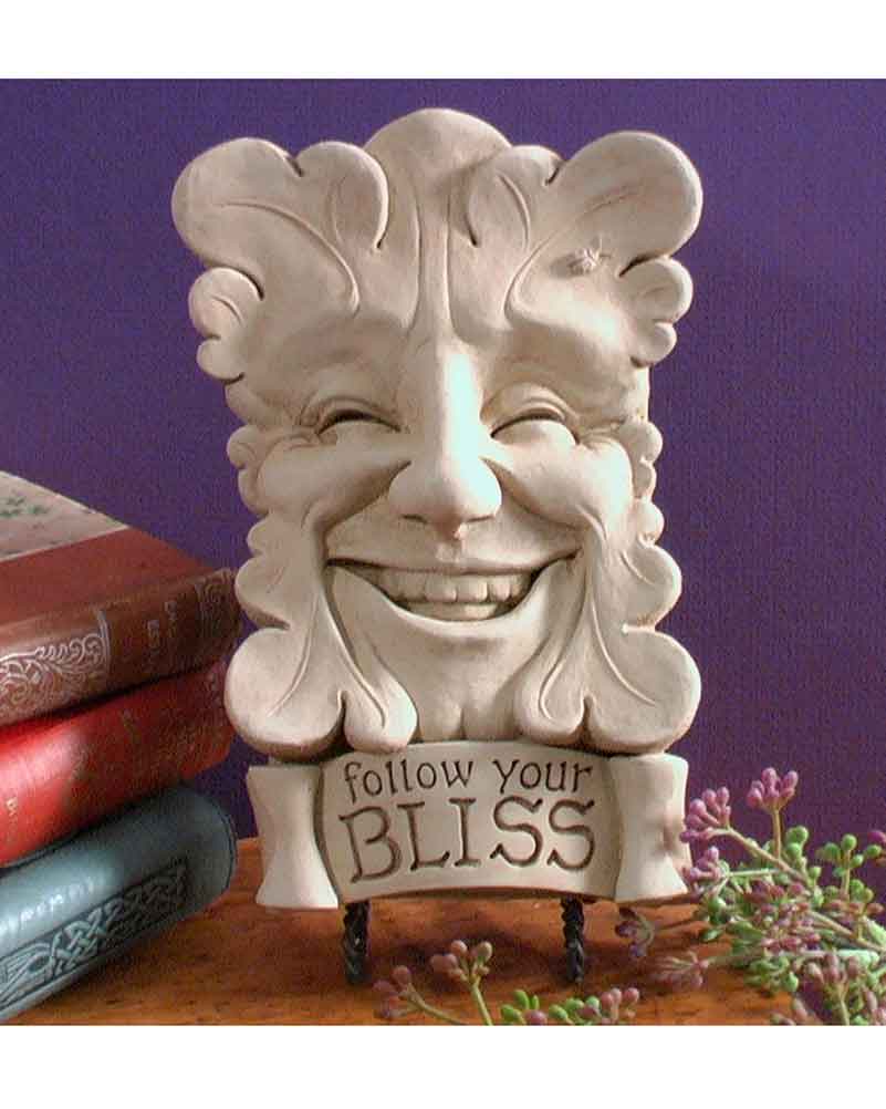 Follow Your Bliss