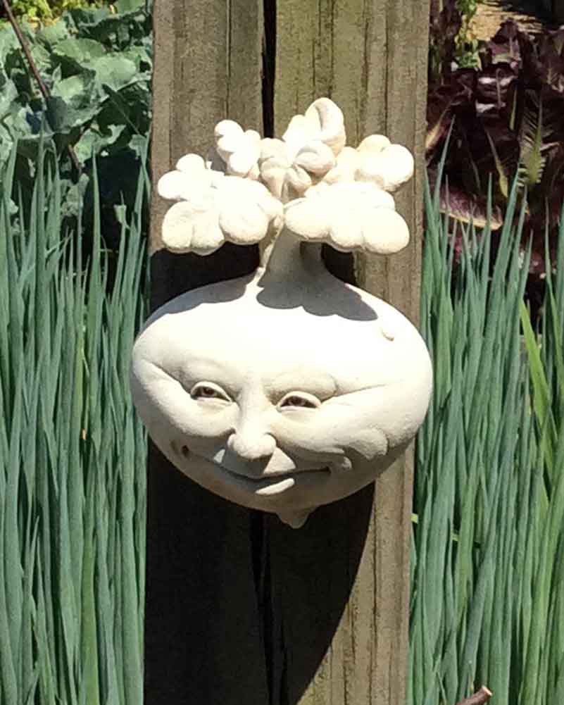 Rutabaga Mama