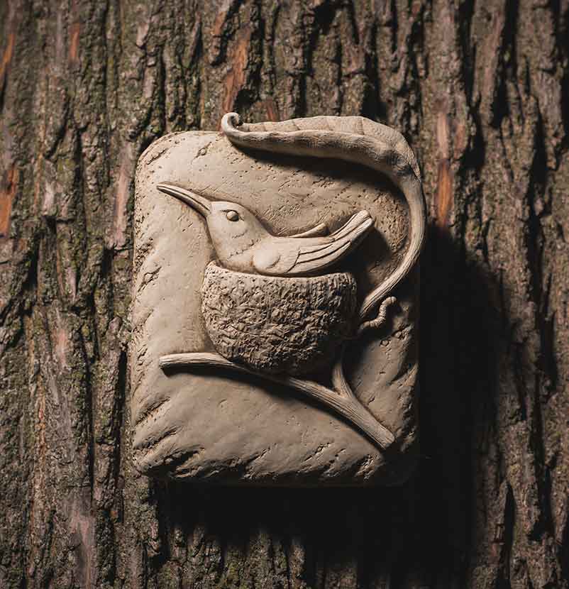Nesting Hummingbird