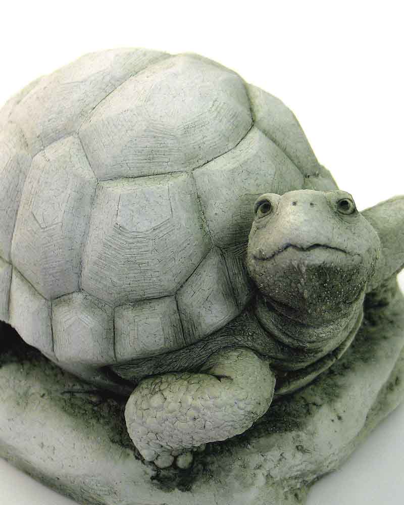 William Turtle