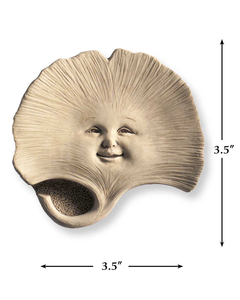 Casey Sprout
