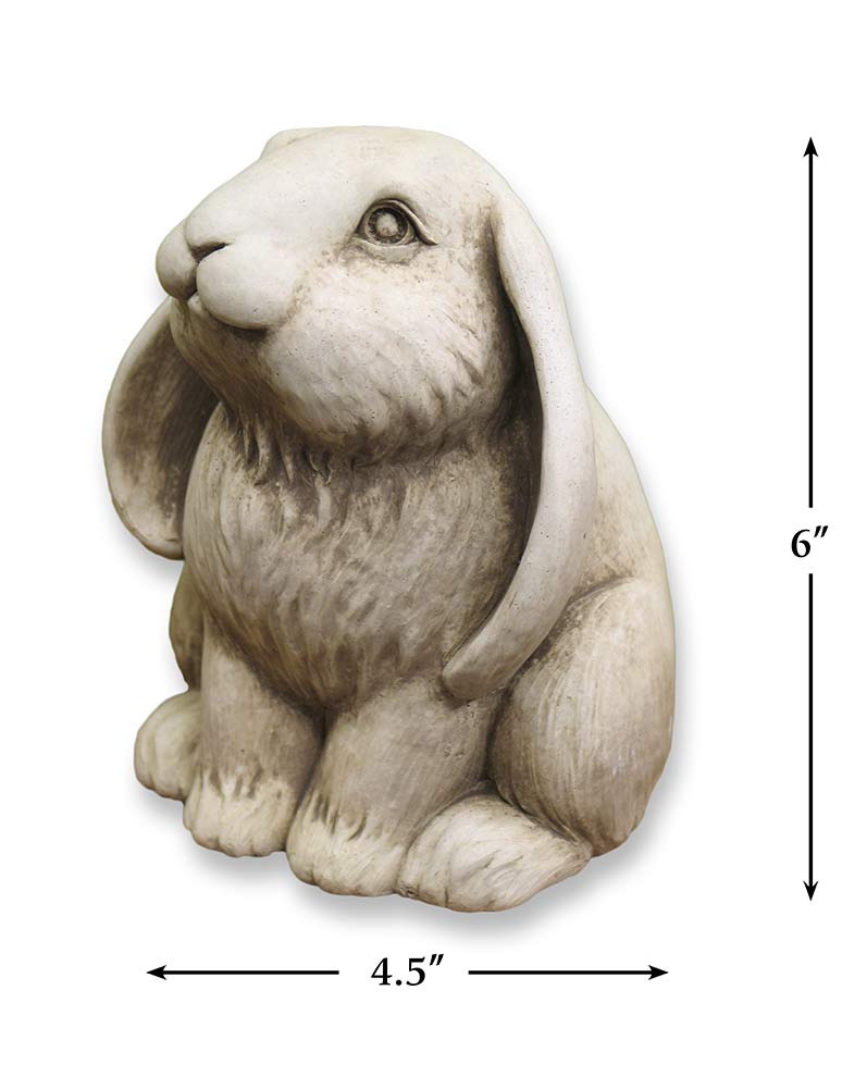 Frenchy Bunny