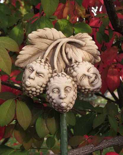 Razz-berries Plaque