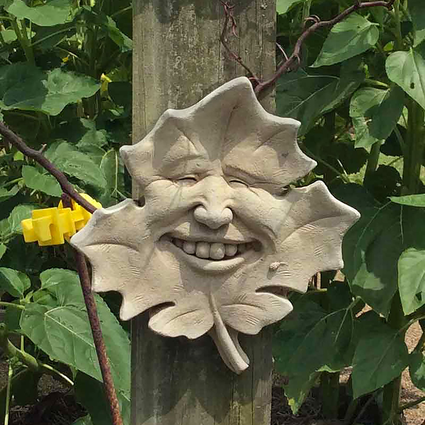 Forest Stump