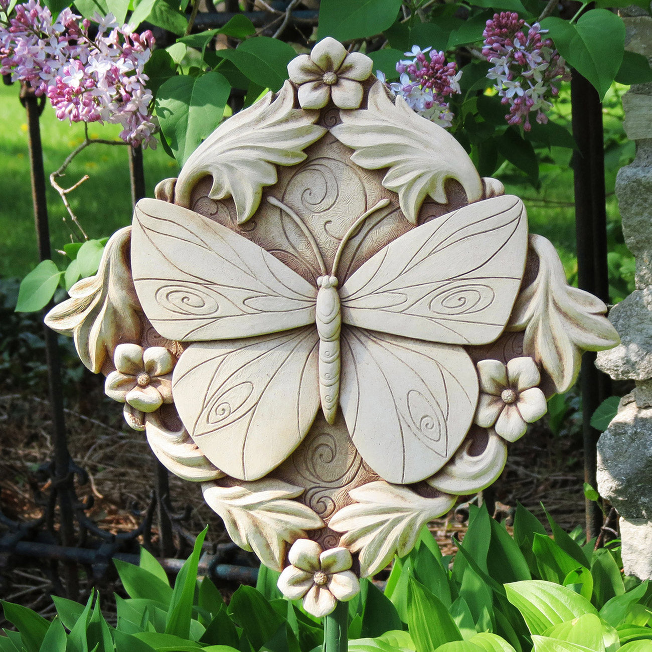 Acanthus Butterfly