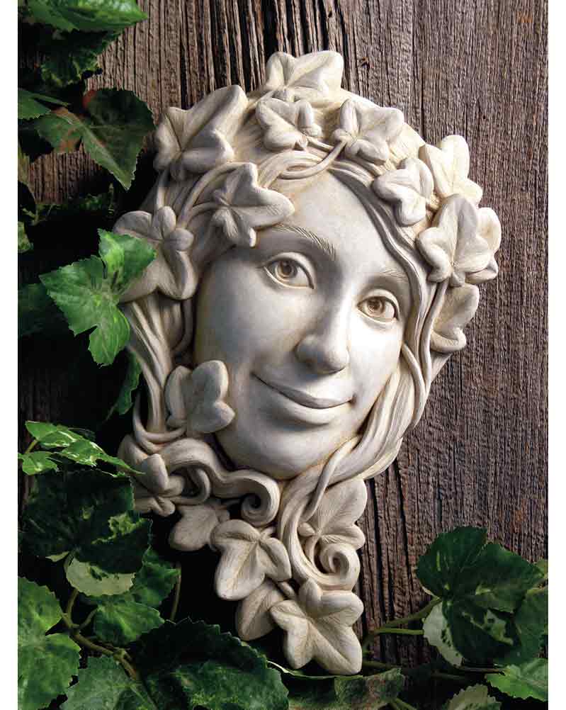 Ivy