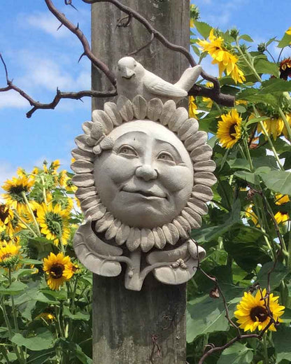 Sunflower Morning
