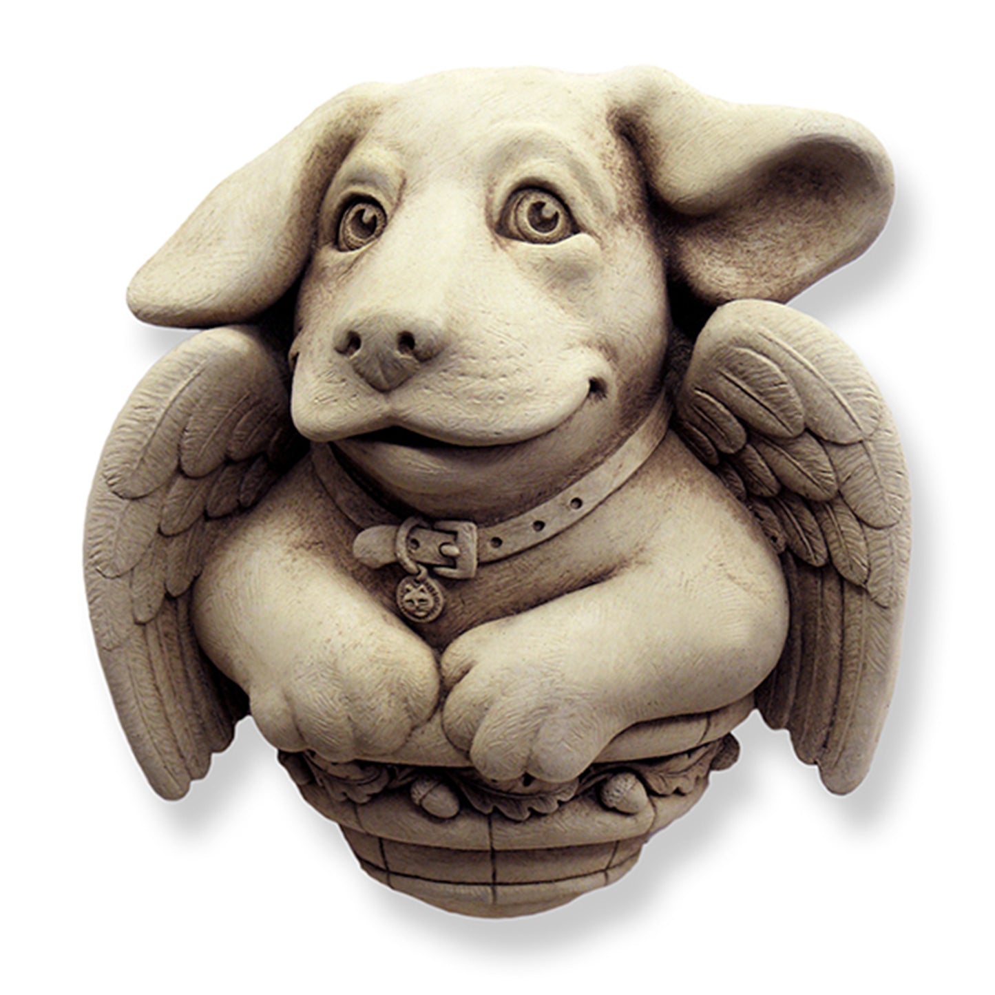 Cherub Puppy