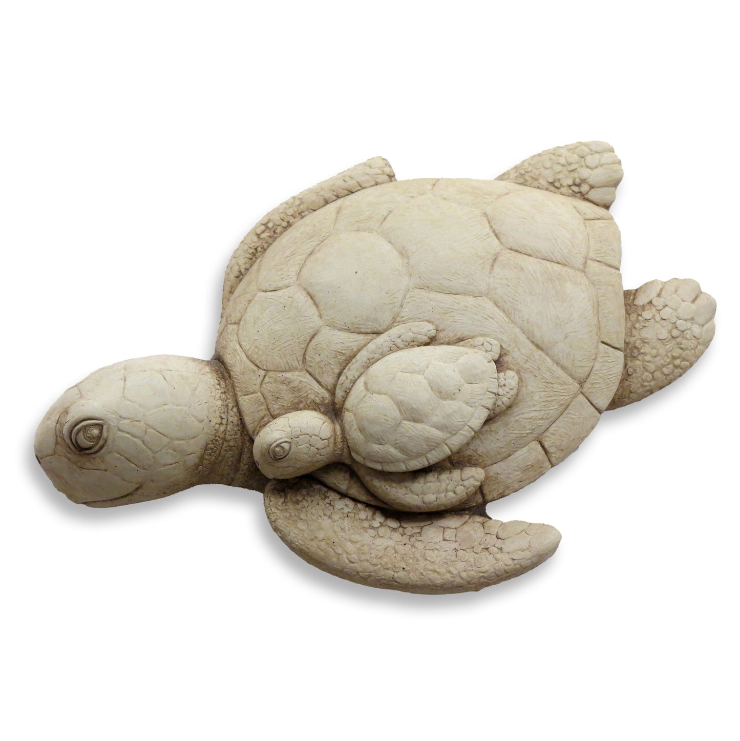 Sea Turtle Travelers