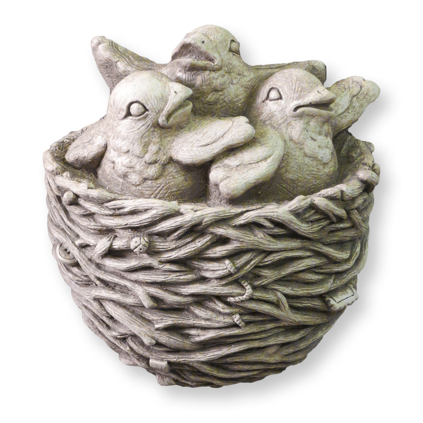 Fledglings