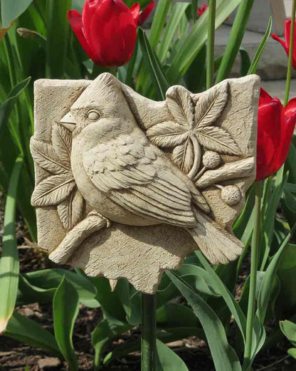 Buckeye State Cardinal