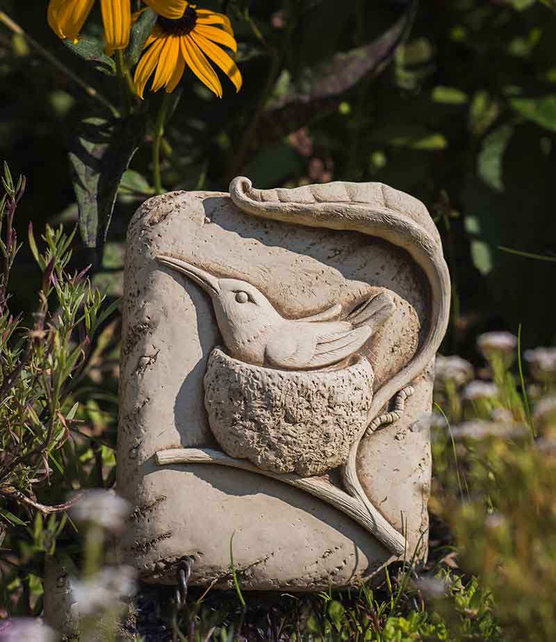 Nesting Hummingbird