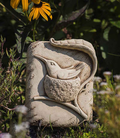 Nesting Hummingbird