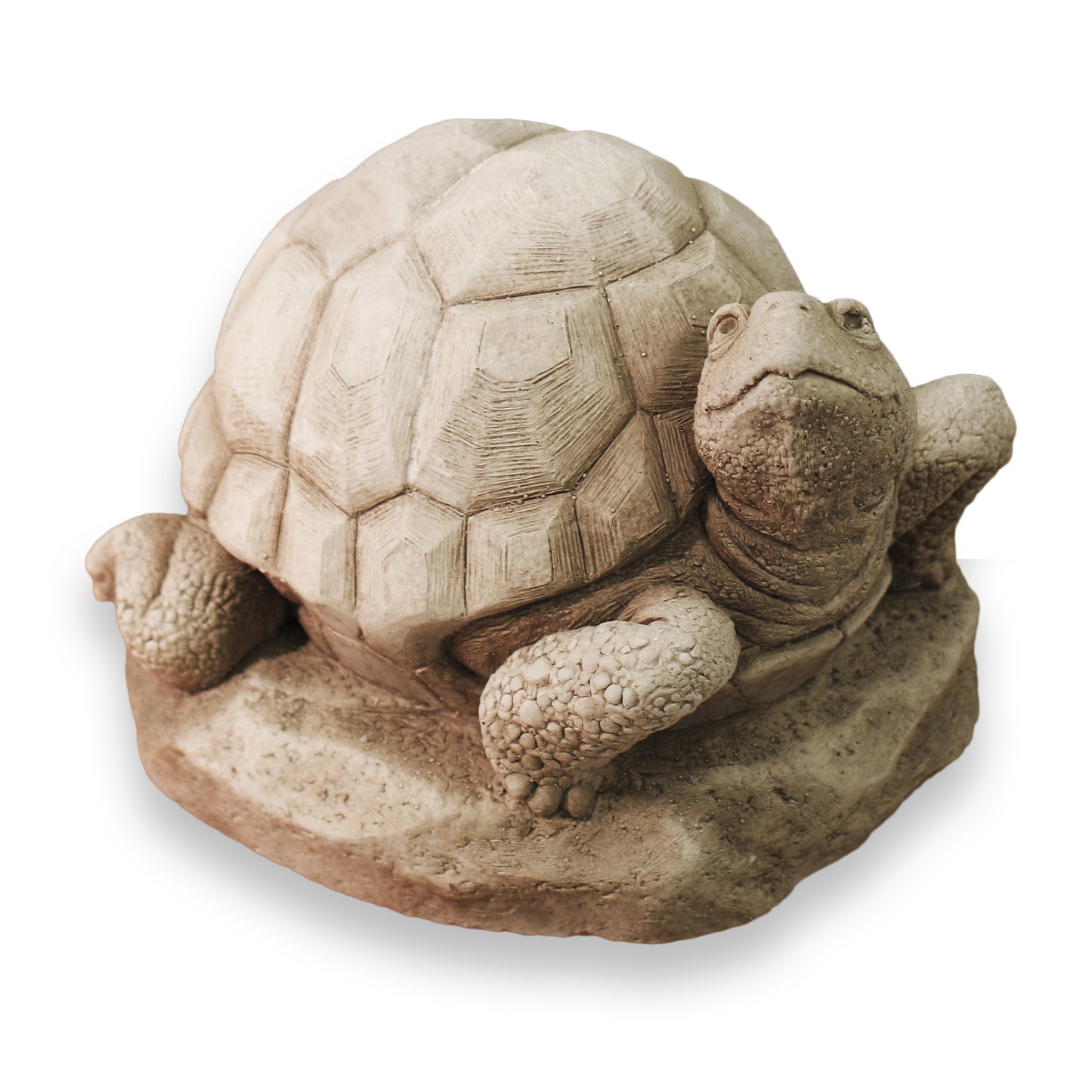 William Turtle