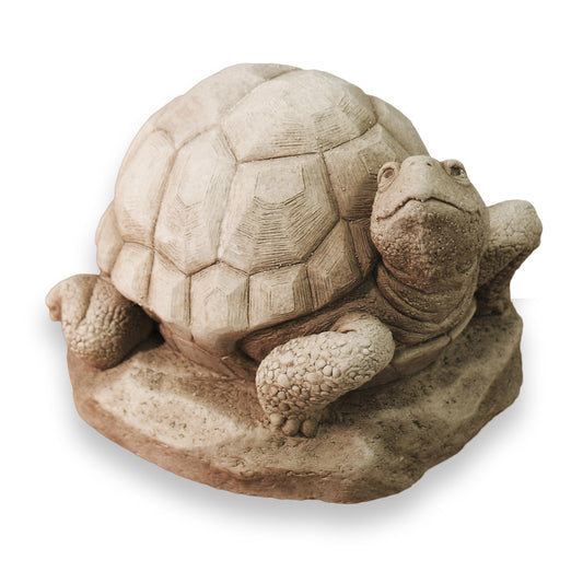 William Turtle