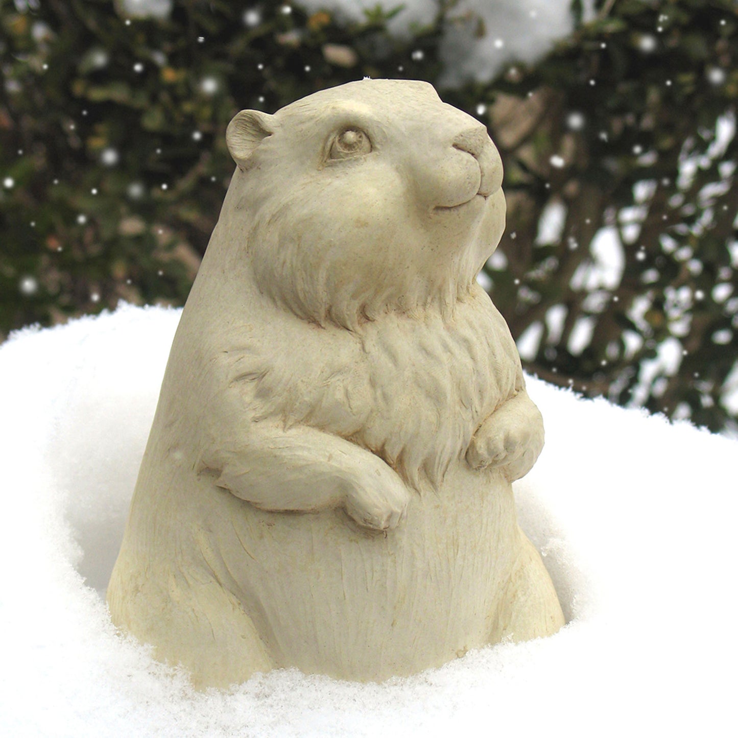 Gordy Groundhog