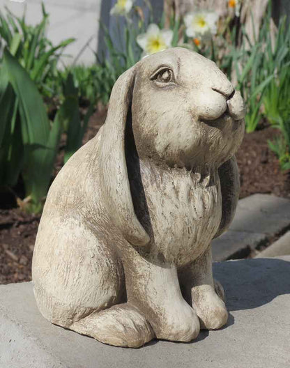 Frenchy Bunny