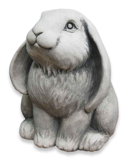 Frenchy Bunny
