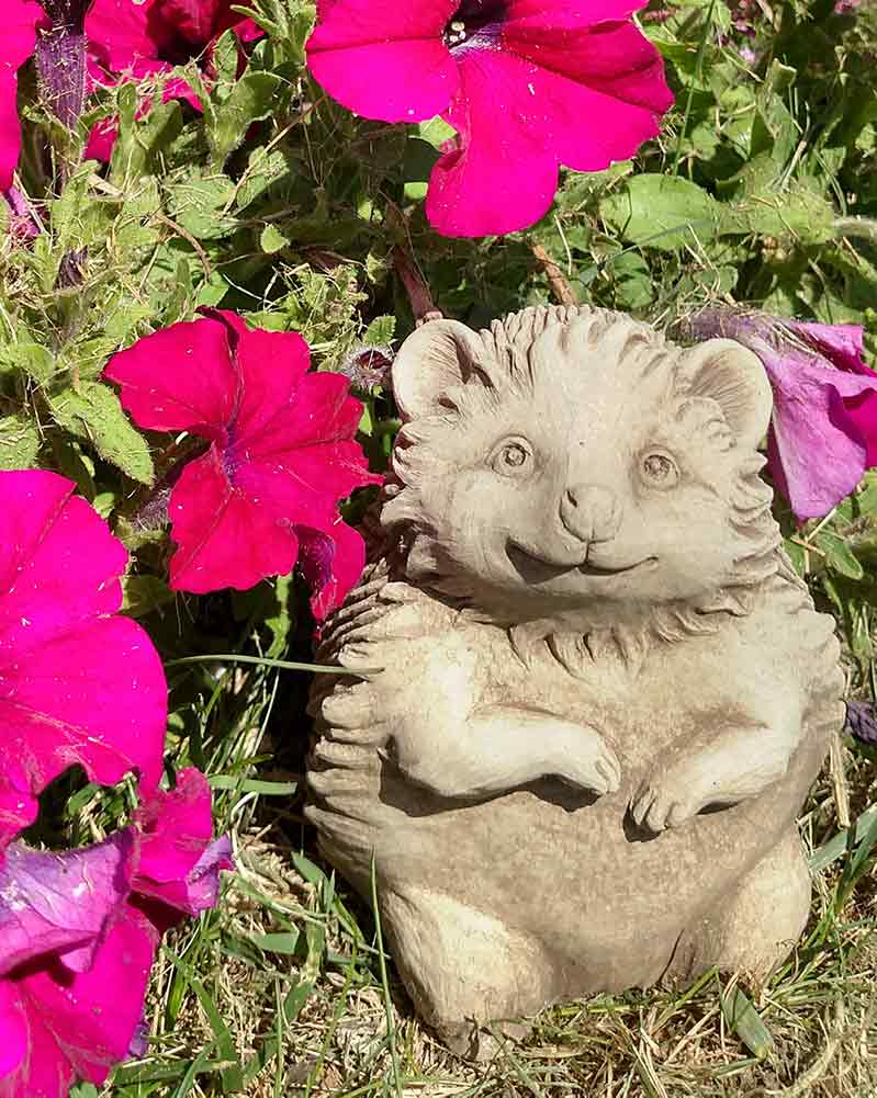 Hazel Hedgehog