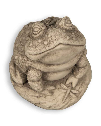 Angus the Toad