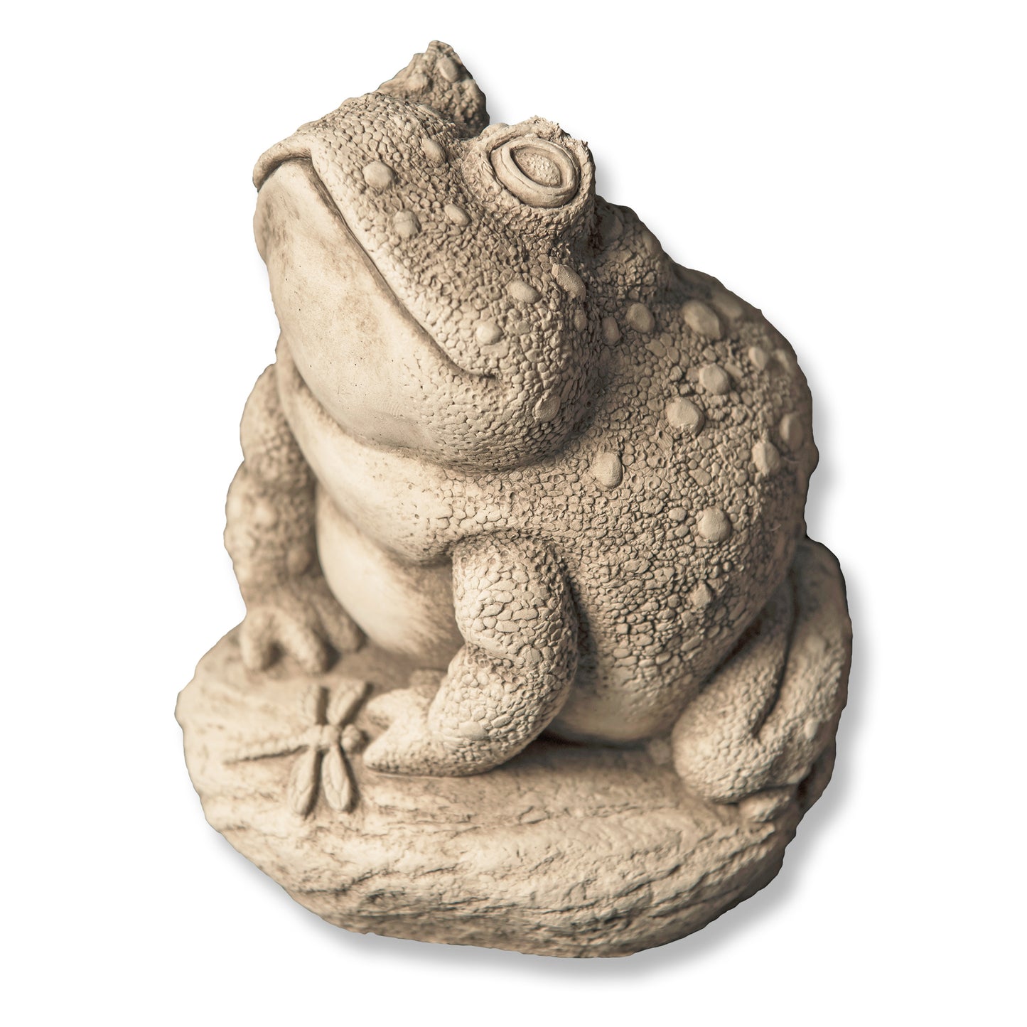 Angus the Toad