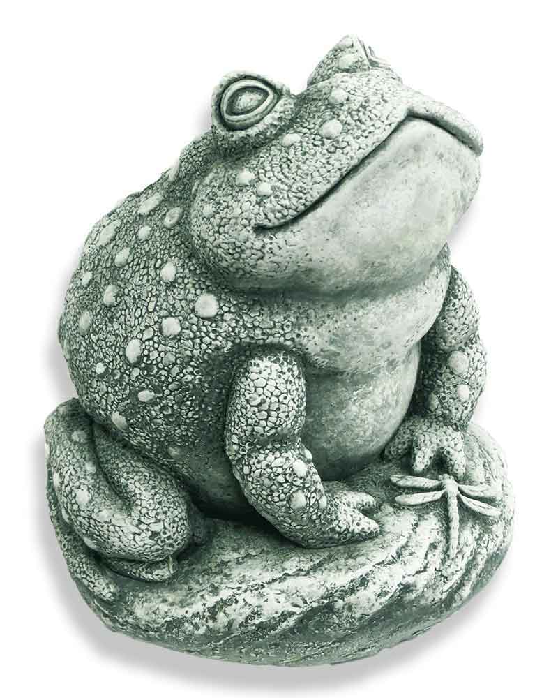 Angus the Toad