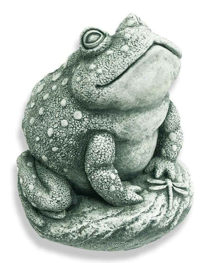 Angus the Toad