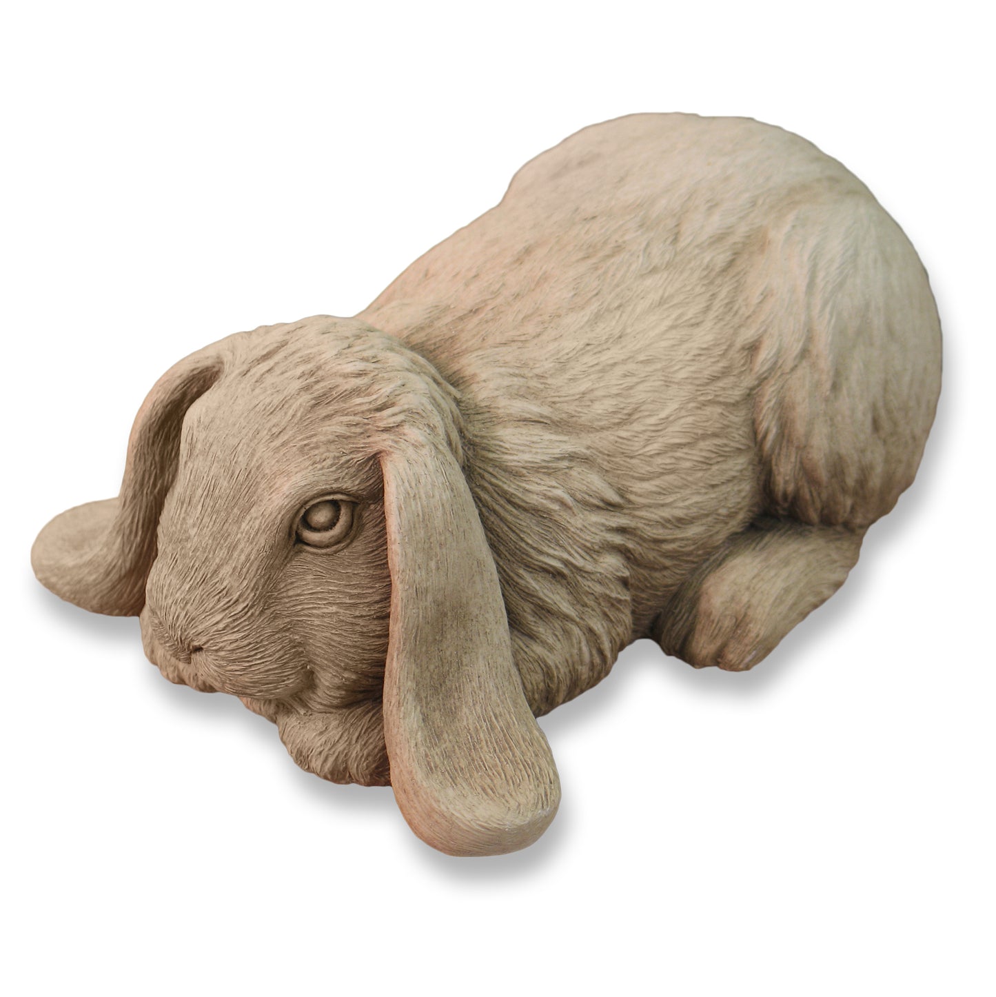 Bashful Bunny