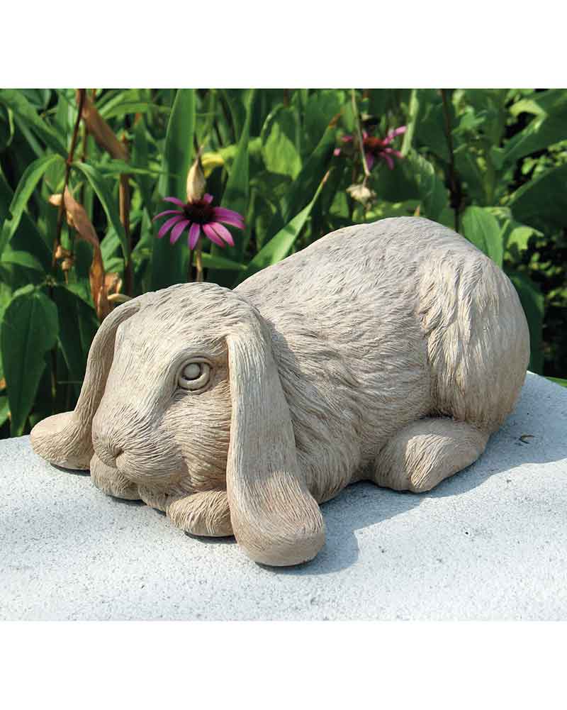 Big Bashful Bunny