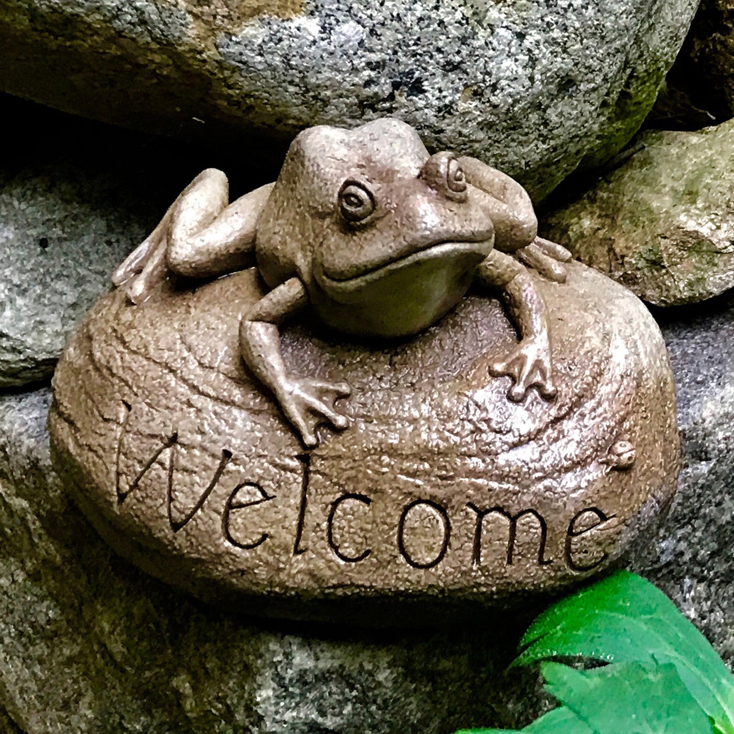 Frog Welcome