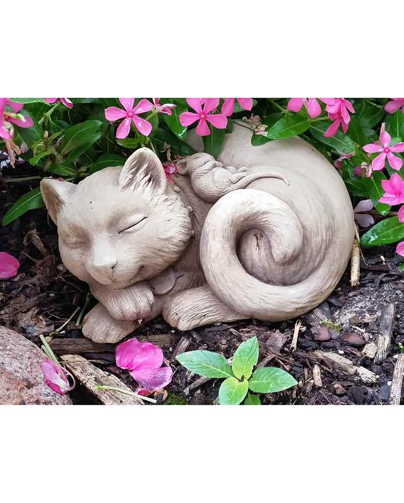 Purrfect Pals