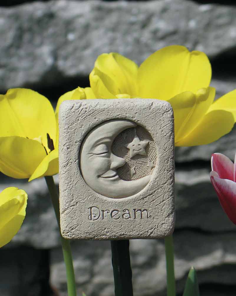 Dream Mini