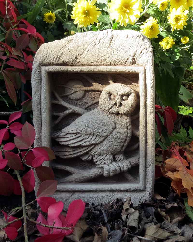 Barn Owl