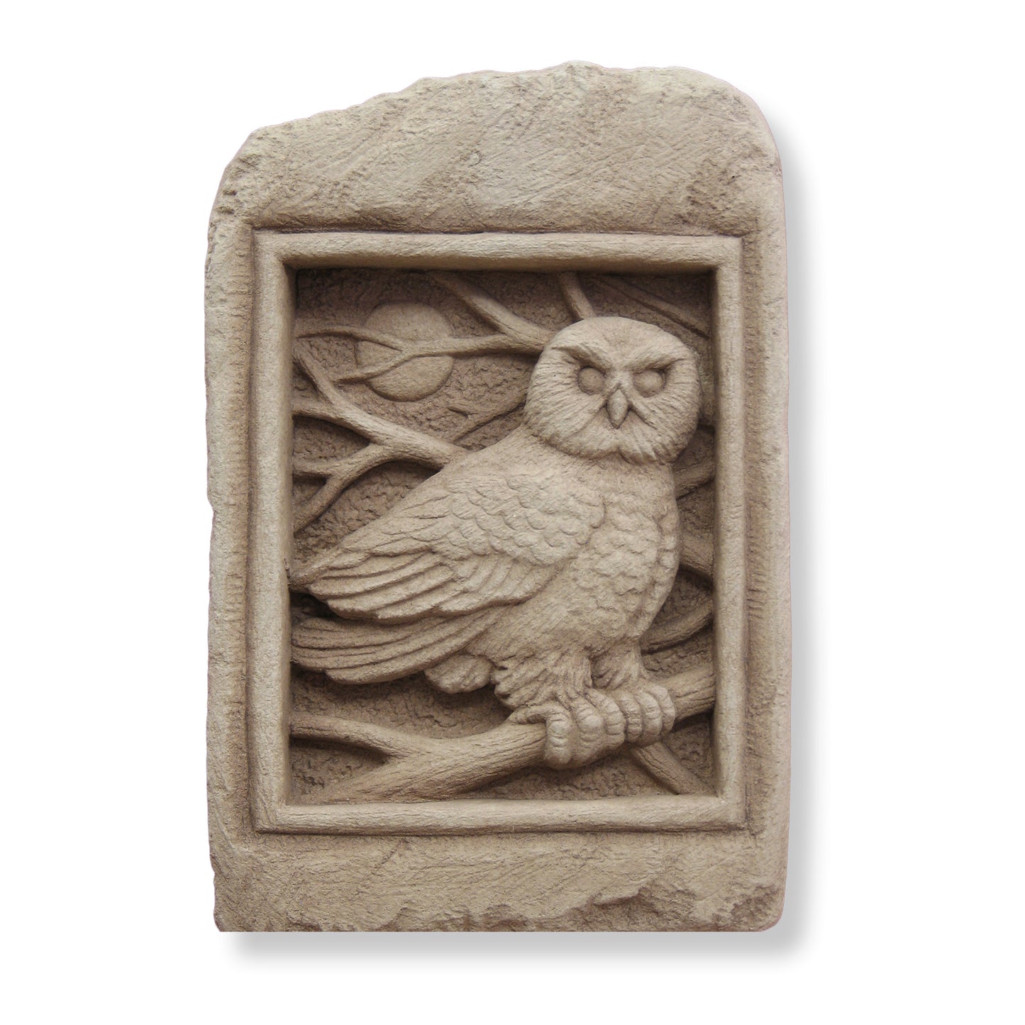 Barn Owl