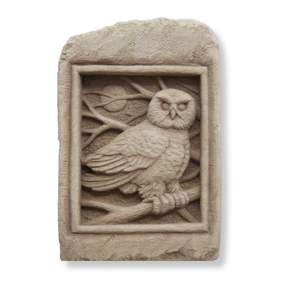 Barn Owl