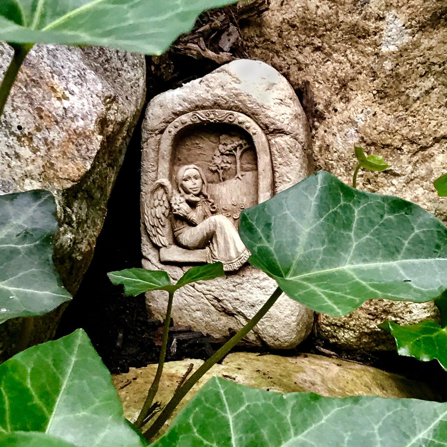 Window Angel